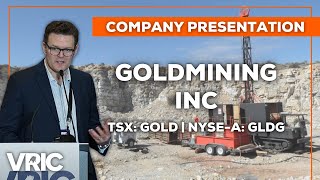 GoldMining Inc TSX GOLD  NYSEA GLDG  Acquiring and Advancing Gold Projects in the Americas [upl. by Maller47]