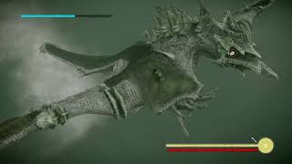 Shadow of the Colossus PS4  Sword of Dormin vs All Colossi  Hard Difficulty [upl. by Billat]