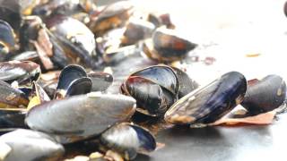 Les moules à la plancha la recette facile et super bonne [upl. by Henarat]