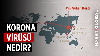 Corona Korona Virüsü Nedir Belirtileri Nelerdir [upl. by Netfa]