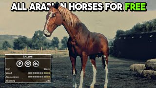 All 5 SECRET Arabian Horses Location for FREE in Red Dead Redemption 2 [upl. by Delaryd]