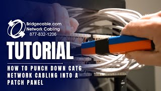 How to Punch Down CAT6 Network Cabling into a Patch Panel  BridgeCablecom [upl. by Abisia]