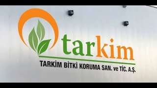 TARKM Tahtası Ne Alan Var Ne Satan İn Cin Top Oynuyor Tarkim Küçük Yatırımcı Hisse de Düşüşü [upl. by Ytirahs]