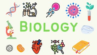 9 A Level Biology  Homeostasis 🌡 [upl. by Samanthia]