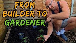 14  Hemp house garden renovation  Planting hedges building a shed and a no dig bed [upl. by Gney329]