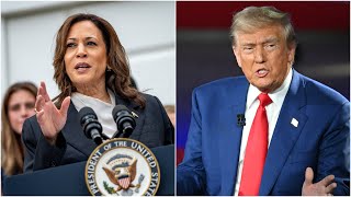 Voto latino ¿Definirá la elección entre Kamala y Trump [upl. by Houser571]