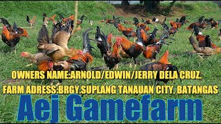 Lets Visit The Farm Of Aej Gamefarm [upl. by Enaxor]