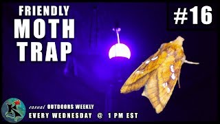 Building a Friendly Moth Trap Its super easy  KNOW 16 [upl. by Rockel]