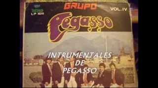 INSTRUMENTALES PEGASSO [upl. by Aita]