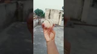 carrom Ball cricket carromball yorkerball carrompol carromgame ipl [upl. by Arzed758]