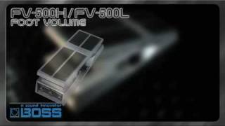 FV500HFV500L Foot Volumes [upl. by Nytsuj]