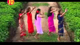 Phool Baganer Malini  Tushar Arjun  Barnali Kalita  Superhit Baganiya song Assam [upl. by Shelba]