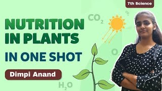 NUTRITION IN PLANTS  CLASS 7  ONE SHOT [upl. by Burman645]