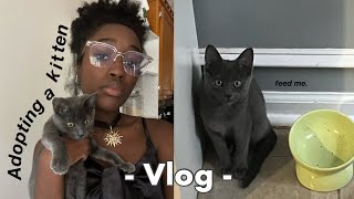 Adopting a KITTEN from START to FINISH  vlog [upl. by Philbin]