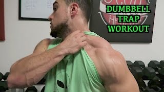 Intense 5 Minute Dumbbell Trap Workout [upl. by Mairym]