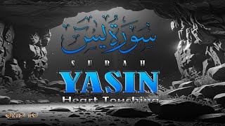 SURAH YASIN  YASEEN  SOUL TOUCHING QURAN  2024 New  یٰس [upl. by Yevrah903]