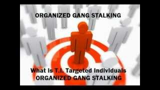 What Is TI Gang Stalking Part 1 [upl. by Breskin]