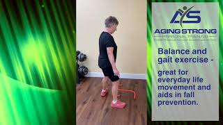 Fall Prevention Friday  Balance and Gait exercise [upl. by Young447]