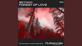 Forest of Love Stan Kolev amp Matan Caspi Remix [upl. by Airetak567]