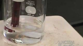 Polyprotic Acid Titration Lab [upl. by Lamdin]