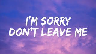 SLANDER  Im sorry dont leave me I want you here with me Lyrics  Love Is Gone [upl. by Esiom]