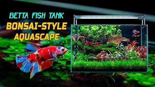 Betta Bliss A StepbyStep Guide to Creating a Stunning BonsaiInspired Aquascape for Your Betta [upl. by Petunia389]