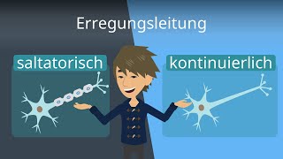 Erregungsleitung im Axon  Saltatorisch und kontinuierlich [upl. by Leirda]