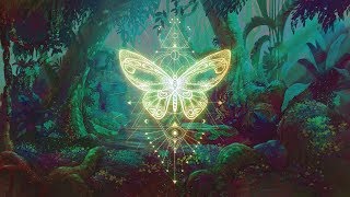 🦋THE BUTTERFLY EFFECT ⁂ Elevate your Vibration ⁂ Positive Aura Cleanse ⁂ 432Hz Music [upl. by Elolcin182]