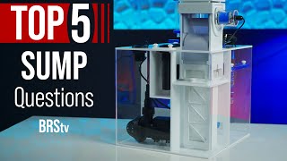 Better Than an Aquarium Canister Filter Saltwater Tank Sumps amp HOW They Work [upl. by Menides]