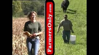 Farmers Onlycom Jingle For 10 HOURS STRAIGHT [upl. by Bettzel]