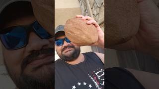 అమెరికాలో 15 kg Sapota Mamey sapote in USA అంత తియ్యగా అయితే ఏమీలేదు sweet potato taste undi [upl. by Aehta]