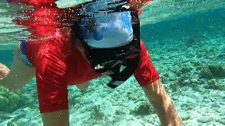 Bonaire 2021 Lac Bay Snorkeling [upl. by Yerak]