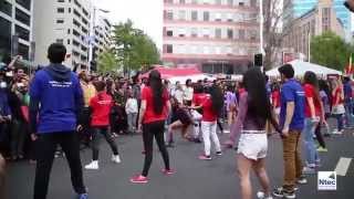 The Ntec Flash Mob  Auckland Diwali Festival 2015 [upl. by Erund]