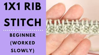 1x1 Rib Stitch for Beginners  Learn to Knit [upl. by Aihsel]