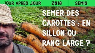 Semer des carottes  En sillon ou sur rang large [upl. by Zimmerman]