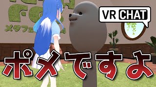 犬？VRChatのNAGiSAって面白いよね【雑談】 vrchat vrc vtuber [upl. by Ahsiela]