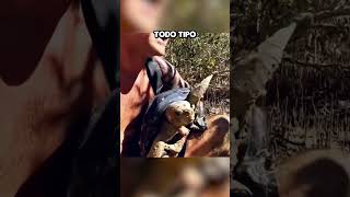 Este Hombre Salvó a una Tortuga Atrapada en el Fango y Su Reacción Te Emocionará 🐢 [upl. by Orimlede]