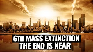 The 6th Mass Extinction Is Happening Now [upl. by Feerahs587]