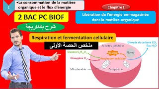 Cours  Première S  SVT  La libération dénergie  La respiration et la fermentation  Suite 1 [upl. by Lizbeth]