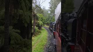 Puffing Billy รถไฟห้อยขา โคตรฟินเลย 🤟🚂🥰 puffingbilly melbourne shorts [upl. by Eixid]