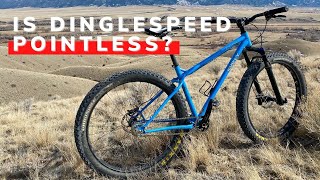 My First Time Riding Dinglespeed  Double SS MTB  Surly Ice Cream Truck 29 Bike [upl. by Refinne49]