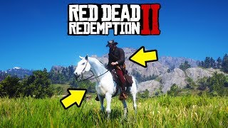 The BEST HORSE in Red Dead Redemption 2 😁 RDR2 Best Horse Location [upl. by Wootten256]