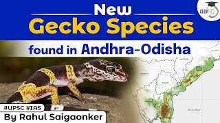 What are Geckos New Gecko species found near Andhra Odisha  Know all about it  UPSC OPSC [upl. by Ginsberg]