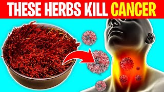 8 Powerful Herbs That Prevent And Kill Cancer [upl. by Delorenzo]