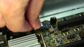 PowerEdge M630 Install TPM [upl. by Anialahs]