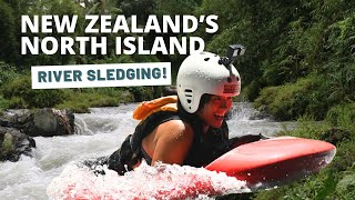 Visiting New Zealands North Island  MustDo Adventure…SLEDGING [upl. by Dusza]