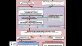 Assess the patency of a laryngectomy stoma [upl. by Westbrook]