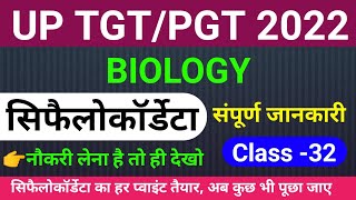 TGTPGT BIOLOGY 2022  CLASS 32  tgt pgt biology online classes  Cephalochordata for tgt biology [upl. by Ecirtram]