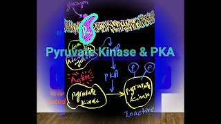 PKA amp Inhibition of Glycolysis Metabolism Made Easy [upl. by Lleumas]