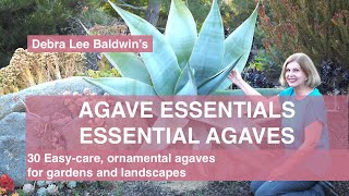 Agave Essentials 30 easycare ornamental agaves for gardens and landscapes [upl. by Lionello]